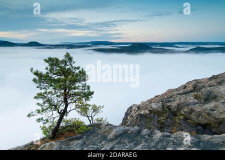 Nebel im Elbtal, Sachsen, Deutschland, Sonnenaufgang auf Lilienstein mit Blick in die Sächsische Schweiz auf Pfaffenstein und Gorisch, Nationalpark Sachsen Stockfoto