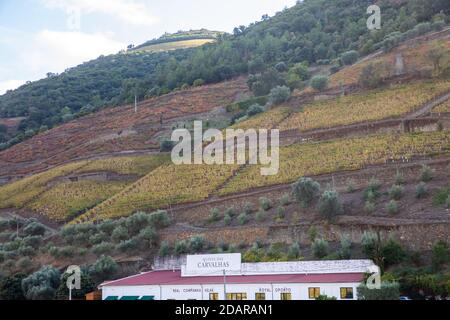 Pinhao, Portugal - Oktober 17: Blick auf die Stadt Pinhão, auf einer schönen Biegung des Rio Douro, ca. 25 km flussaufwärts von Peso da Régua in Portugal auf OC Stockfoto