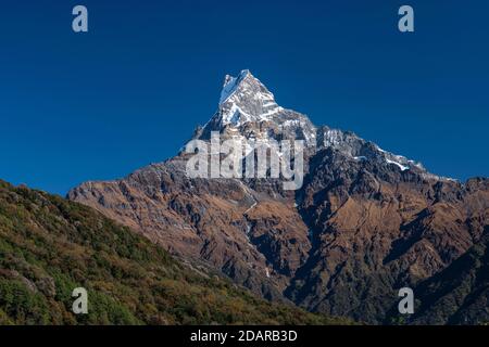 Machapuchare, Himalaya, Fischschwanz, 6997m, heiliger Berg, Mardi Himal, Annapurna Region, Nepal Stockfoto