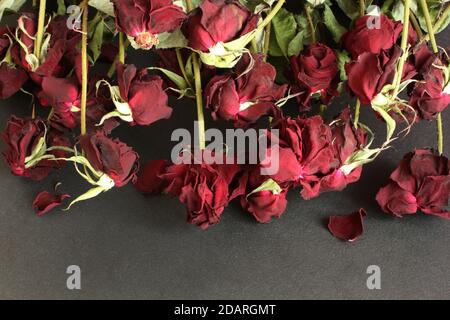 Getrocknete rote Rosen auf schwarzem Tisch. Blick von oben. Nahaufnahme Stockfoto