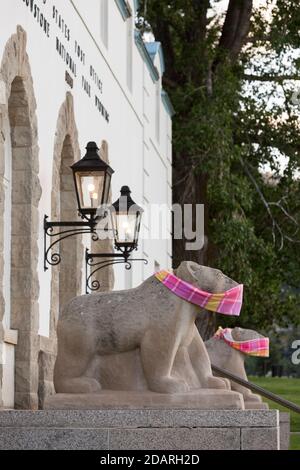 Bärenskulpturen im Postamt des Yellowstone National Park tragen am Sonntag, den 2. August 2020 Gesichtsmasken. Der Park hat kürzlich mehrere positive Fälle gemeldet Stockfoto