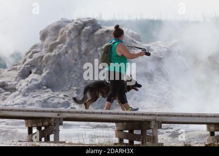 Ein Besucher mit einem Servicehund geht am Montag, 3. August 20, am Castle Geyser entlang des Upper Geyser Basin Trail im Yellowstone National Park, Wyoming vorbei Stockfoto