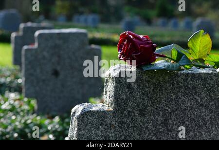 Apolda, Deutschland. November 2020. Eine Rose liegt auf einem Grabstein auf dem Kriegsgräberplatz auf dem historischen Friedhof. Das diesjährige zentrale Gedenken an den Volkstrauertag in Thüringen findet am 15. November 2020 in Apolda statt. In diesem Jahr widmet sich der Volkstrauertag "75 Jahre Kriegsende". Im April 1945 endete der zweite Weltkrieg in Thüringen mit der Invasion der US-Streitkräfte. Quelle: Martin Schutt/dpa-Zentralbild/dpa/Alamy Live News Stockfoto