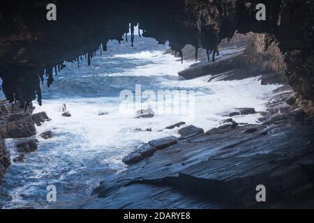 Die Rhizolithen hängen vom Dach des Admirals Arch, während sich die neuseeländischen Pelzrobben im Hintergrund, der Flinders Chase National Park, sonnen. Stockfoto