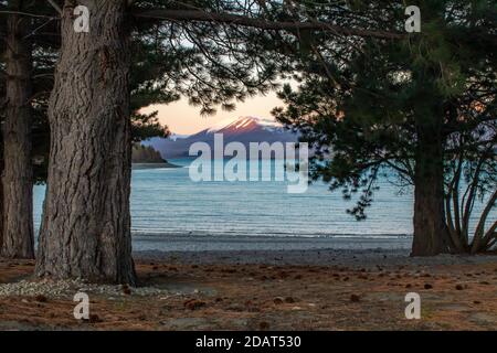 Sonnenuntergang Berggipfel durch die Bäume am See Tekapo Ufer Stockfoto