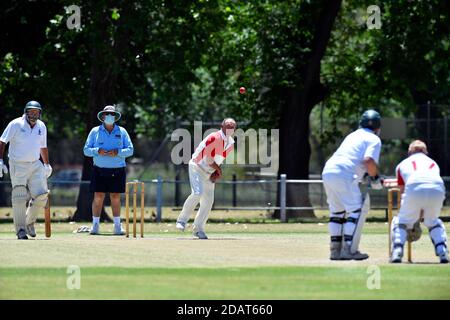 November 2020. Benalla Bushrangers über 60s / Country Cricket Victoria Stockfoto