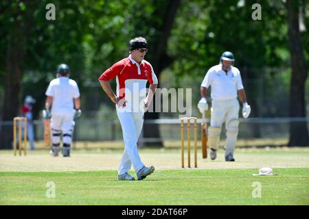 November 2020. Benalla Bushrangers über 60s / Country Cricket Victoria Stockfoto