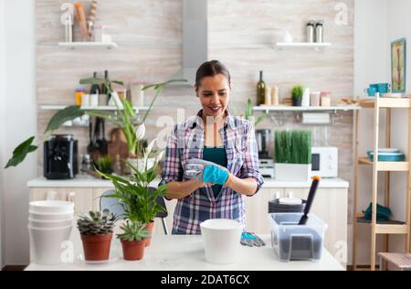 Frau Haus Pflanzen in der Küche mit Gartenhandschuhen. Mit Fertil Boden mit einer Schaufel in Topf, weiße Keramik Topf und Hausblume, Pflanzen, für die Wiederbepflanzung zu Hause für Hausdekoration vorbereitet. Stockfoto