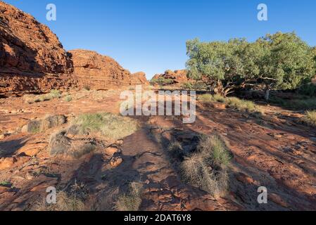 Die abgelegene Trockenlandschaft im Kings Canyon, Northern Territory, Australien Stockfoto