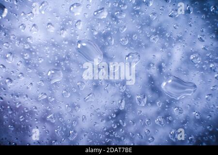 Wassertropfen im Makro auf dunkelviolettem Hintergrund. Wassertropfen im Makro. Stockfoto