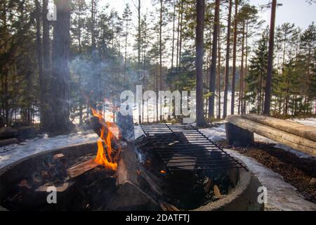 Selektive Aufnahme von Brennhölzern in einer Grillstation Auf einem Campingplatz Stockfoto