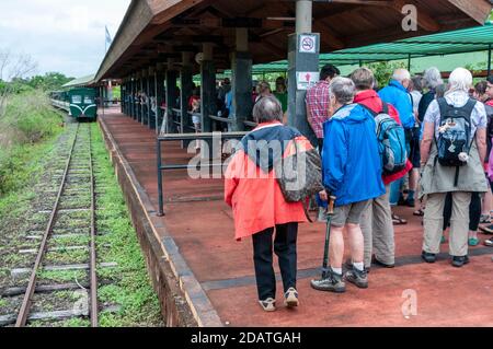 Besucher warten auf dem Bahnsteig als der Dschungel Zug (Regenwald Ökologischen Zug) nähert sich Hauptbahnhof im Iguazu Nationalpark, Argentinien. T Stockfoto