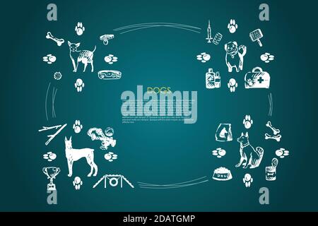 Hunde - verschiedene Hunderassen mit Futter, Knochen, Kragen, Fußabdrücke, Schüssel, Tierarzt Objekte Vektor-Konzept-Set Stock Vektor
