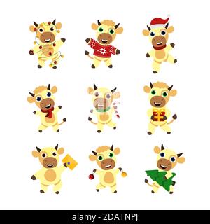 Setzen Sie niedliche Winter Bullen. Frohes neues Jahr. Chinesisches Neujahrssymbol.Weihnachtskarte. 2021 Jahre. Flache Vektorgrafik Stock Vektor