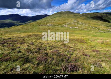 Blick über Yoke Fell, Hartsop Valley, Kirkstone Pass, Lake District National Park, Cumbria, England, UK Yoke Fell ist einer der 214 Wainwright Fells. Stockfoto