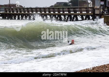 Shoreham, West Sussex, UK Sonntag, 15. November 2020UK Wetter: Open Water Schwimmer trotzen dem Meer in der relativen Ruhe des Shoreham Harbour, da die Bedingungen an exponierten Stränden zu wild sind. Foto ©Julia Claxton Credit: Julia Claxton/Alamy Live News Stockfoto