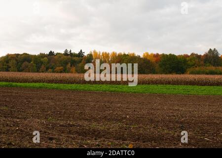 Grau wolkigen Himmel über ländlicher Landschaft im Herbst mit landwirtschaftlichen Felder und bunten Wald Stockfoto