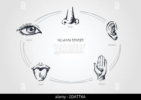 Menschliche Sinne - Vision, Geschmack, Berührung, Hören, Geruch Vektor-Konzept-Set Stock Vektor