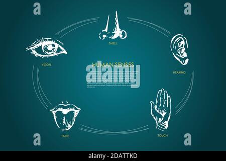Menschliche Sinne - Vision, Geschmack, Berührung, Hören, Geruch Vektor-Konzept-Set Stock Vektor