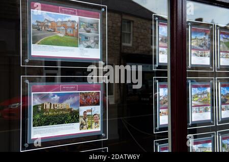 Schaufensterauslagen in Abergele, Nordwales, vor der Einführung der neuen Serie von I'm A Celebrity...Hol mich hier raus! Die auf Schloss Gwrych stattfindet. Stockfoto