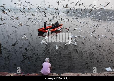 Neu Delhi, Indien. November 2020. Die Inder fahren auf einem Boot, während die Möwen über den Fluss Yamuna bei Nigam Bodh Ghat fliegen. Kredit: SOPA Images Limited/Alamy Live Nachrichten Stockfoto
