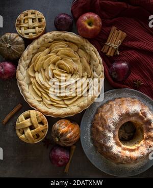 Verschiedene Gebäckstücke mit Äpfeln. Draufsicht Foto von süßen Kuchen auf grauem Hintergrund. Ideen für Weihnachtsmenüs. Stockfoto