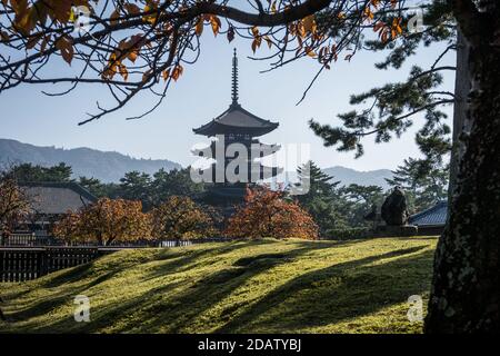 Blick auf die fünfstöckige Pagode des Kofuku-ji-Tempels in Nara, Japan an einem warmen Herbstmorgen Stockfoto