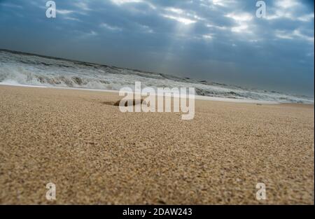 Sonnenschein über dem Meer durch die Wolken Blick aus Strand von somnath Tempel Gujarat Indien Stockfoto