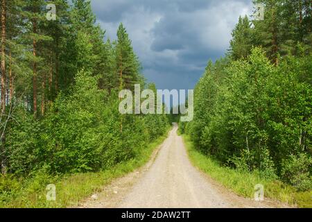 Blick auf eine leere europäische Forststraße im Sommer, Finnland Stockfoto