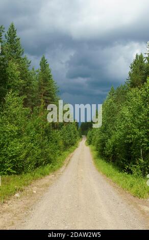 Blick auf eine leere europäische Forststraße im Sommer, Finnland Stockfoto