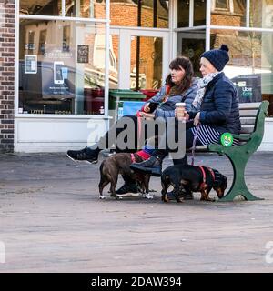 London UK, November 15 2020, zwei Frauen mittleren Alters sitzen auf EINER Holzbank mit ihren Hunden entspannen und sprechen während COVID-19 Coronavirus Lockdown Stockfoto