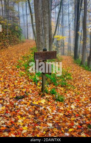 Wanderzeichen an verschiedenen Pfaden im Elkmont-Abschnitt des Great Smoky Mountains National Park, Tennessee, während der Herbstspitze. Stockfoto