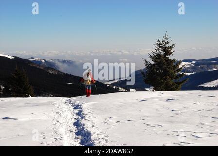 Mount Zebio. Eine Wanderfrau spaziert im Winter mit Schneeschuhen auf einem Bergweg auf den venezianischen Voralpen. Monte Zebio im Ersten Weltkrieg war Schauplatz blutiger Schlachten. Stockfoto