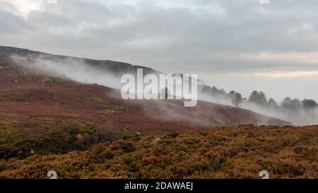 Rollender Nebel auf Moorland erzeugt ein Wuthering Heights Feeling auf Ilkley Moor, West Yorkshire, England, UK Stockfoto