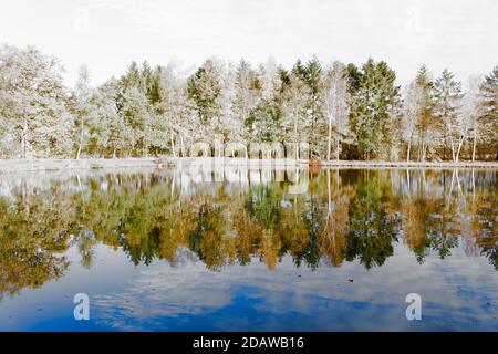 Herbstbäume Farbreflexion in stilles See, Konzept - Vollformat, Kopierraum, horizontale Komposition Stockfoto