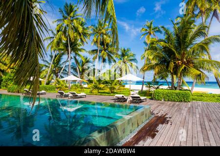 Infinity-Pool mit Kokopalmen Bäume in einem wunderschönen Resort Bei Tageslicht Stockfoto
