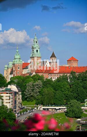 Radfahrer fahren auf der Weichselufer Straße. Im Hintergrund die Kathedrale und der Wawel Royal Castle Komplex auf Wawel Hill in Krakau Stockfoto