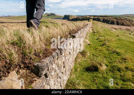 Mann Wanderer zu Fuß auf Hadrians Wand, dass die Römer eine Küste-zu-Küste Wand gebaut, um das römische England vor den Stämmen, die in Schottland lebten zu schützen. Stockfoto