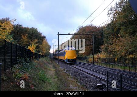 Amersfoort, The Netherlands, Nov 1,2020:Holländisch gelbe Intercity passiert in der Herbstszene mit orangefarbenen Blättern auf den Bäumen. Jedes Jahr Zugverspätung fällig Stockfoto