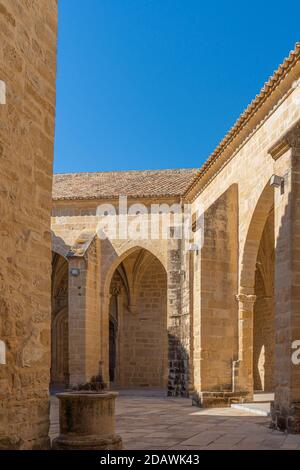 Detail der Stiftskirche Santa Maria de los Reales Alcazares, Ubeda, Provinz Jaen, Andalusien, Spanien vertikal Stockfoto