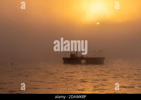 Prairieville, Michigan - EIN schwimmende Floß schwimmt auf Stewart Lake, während die Sonne durch Morgennebel gipfelt. Stockfoto