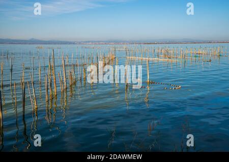 Querformat. La Albufera Nature Reserve, El Palmar, Valencia, Spanien. Stockfoto