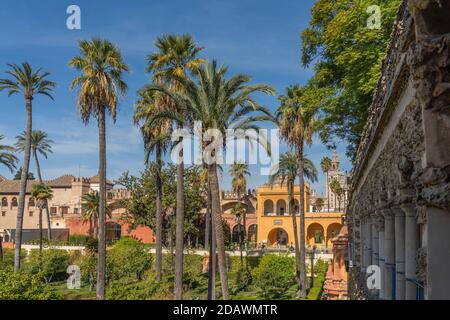 Gärten im historischen Reales Alcazares in Sevilla in Andalusien, Spanien Stockfoto