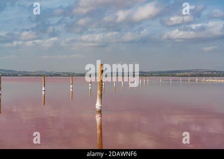 Holzpfosten im rosa Salzsee mit Reflexion auf Wasser aus Wolken, Laguna Rosa, Torrevieja Stockfoto