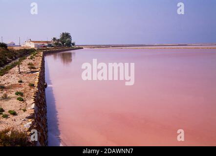 Teich. Salzwerk, San Pedro del Pinatar, Provinz Murcia, Spanien. Stockfoto