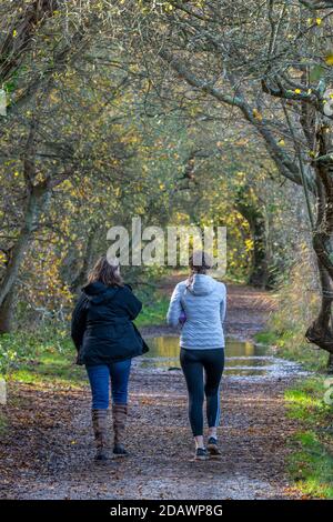 Schlepptau attraktive junge Frauen, die gemeinsam in den Wäldern entlang einer Strecke wandern und mit Sportkleidung reden. Stockfoto
