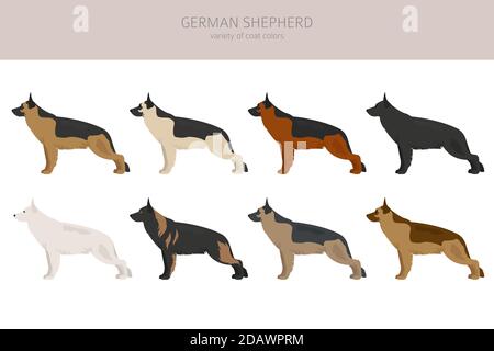 Deutsche Schäferhunde verschiedene Fellfarben. Hirtenfiguren eingestellt. Vektorgrafik Stock Vektor