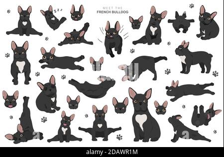 Yoga hunde Posen und Übungen. Französische Bulldogge clipart. Vector Illustration Stock Vektor