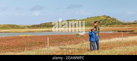 Texel, Niederlande - 22. Oktober 2020: Vogelbeobachtung im Naturschutzgebiet De Slufter auf der Watteninsel Texel, Nordholland, Niederlande Stockfoto