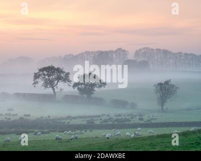 Der abendliche Nebel fällt auf die raue Landschaft über dem Pool in Wharfedale an der Old Lane, während die untergehende Sonne die Szene mit gedämpften Tönen erhellt. Stockfoto